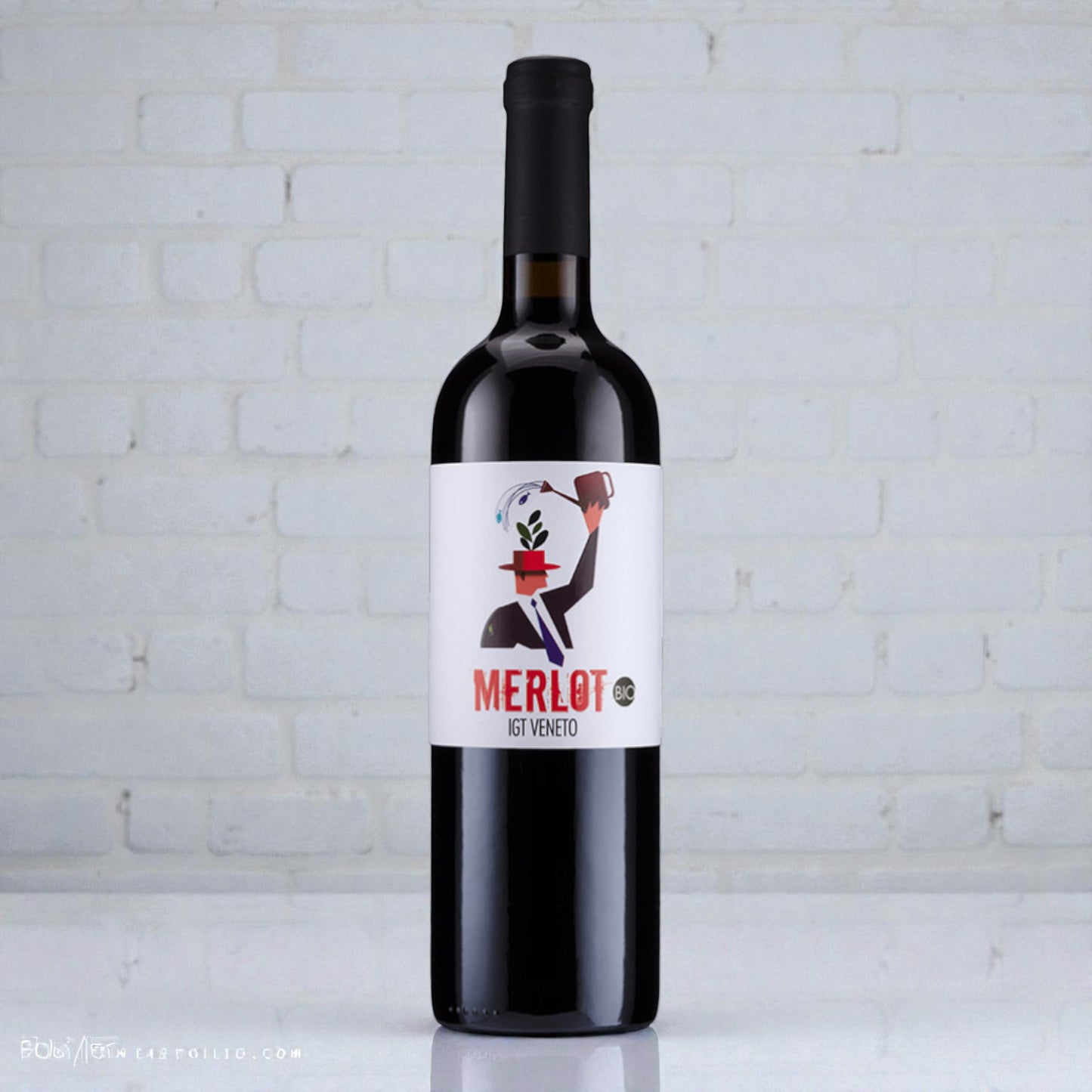 Trevisana Merlot